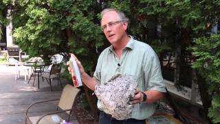 How to remove a wasp nest with insecticidal spray [upl. by Aytac177]