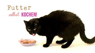 Katzenfutter Rezept  Katzenfutter selber kochen [upl. by Tannenbaum]