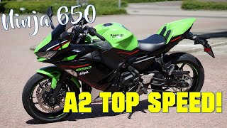 2021 KAWASAKI NINJA 650  TOP SPEED A2 35kW [upl. by Lilias]