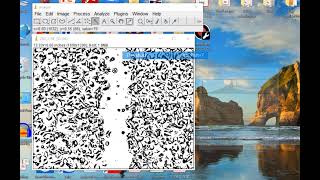 ImageJwound healing assay measurement [upl. by Hazem]