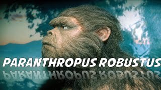 Paranthropus robustus [upl. by Akimrej621]