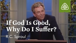 If God Is Good Why Do I Suffer The Classic Collection with RC Sproul [upl. by Nelaf687]