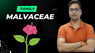 Malvaceae family [upl. by Ruford]