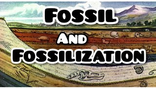 Fossil And Fossilization [upl. by Raffaello609]