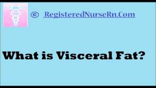 What is Visceral Fat [upl. by Edelsten]