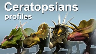 Ceratopsians profiles [upl. by Ennoved]