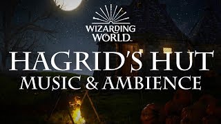 Harry Potter Music amp Ambience  Hagrids Hut [upl. by Kcirrek495]