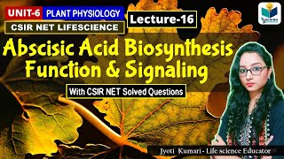 ABSCISIC ACID BIOSYNTHESIS ABA SIGNALING AND FUNCTION PHYTOHORMONE PART16CSIR NET [upl. by Fahy]