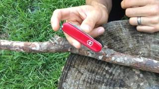 Swiss Army Knife Review  Victorinox Walker [upl. by Supat]