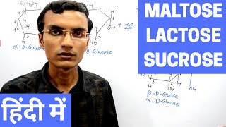 Disaccharides  Maltose Lactose and Sucrose in Hindi [upl. by Gustaf]