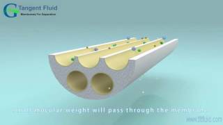 Crossflow Filtration of Ceramic Membrane [upl. by Tav52]