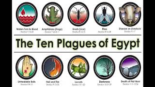 10 Plagues of Egypt Song [upl. by Arlynne287]