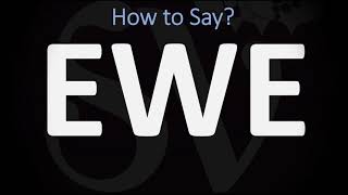 How to Pronounce Ewe CORRECTLY [upl. by Dalpe225]