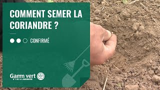 TUTO Comment semer la coriandre   Jardinerie Gamm vert [upl. by Mcloughlin]