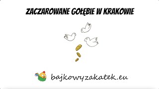 Zaczarowane gołębie w Krakowie [upl. by Carey574]