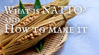 What is NATTO amp How to Make It  FERMENTATION  Takoshiho Cooks Japan [upl. by Sewell397]