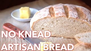 Easy NoKnead Artisan Bread Recipe [upl. by Otte]