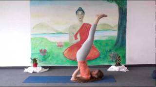 Beginners Yoga Class 20 Minutes [upl. by Arym]