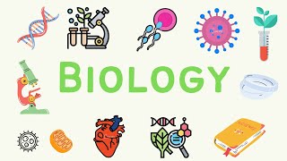 1 A Level Biology  Biological Molecules [upl. by Airotkiv828]