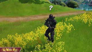 quotÉLIMINER DES FORCES DE LIOquot FORTNITE [upl. by Akiehs739]