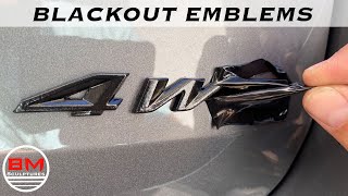 Blackout Car Emblems  Logo Cheaply and Easily  Plastidip  Hyperdip [upl. by Fanechka777]