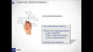 Los organigramas  tipos y reglas de organigrama [upl. by Taam]