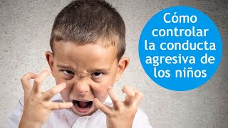 Agresividad infantil ¿Cómo controlarla [upl. by Kcirdle86]