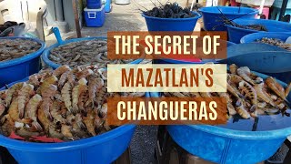 Unique Things to Do in Mazatlan Mexico  The Secret of the MAZATLÁN SHRIMP LADIES LAS CHANGUERAS [upl. by Ury509]