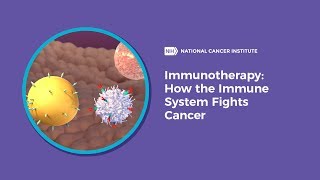 Immunotherapy How the Immune System Fights Cancer [upl. by Hopfinger]