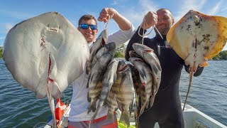 VENOMOUS Stingray Catch Clean Cook [upl. by Grissom]