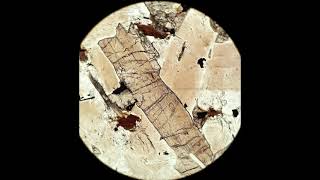 Orthopyroxene tutorial Optical mineralogy [upl. by Eirrok52]