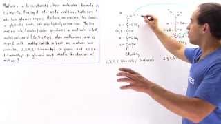 Structure of Maltose [upl. by Felicidad]