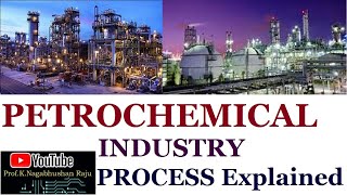 Petrochemical Industry  Process Overview  Detailed Explanation [upl. by Ryder]