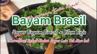 Cara Mudah Masak Sayur Bayam Brazil dan Ulam Raja Marvellous Sekali Makan Sayur Lain Tolak Tepi [upl. by Inalaehak]