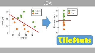 Linear discriminant analysis LDA  simply explained [upl. by Martine286]