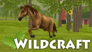 Life As A Wild Horse 🌿 WildCraft • 2 [upl. by Elton]