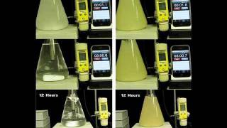 Gypsum vs Calcium Sulfate Anhydrite [upl. by Dorman450]