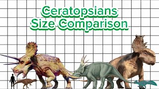 Ceratopsians Size Comparison [upl. by Ydnerb]