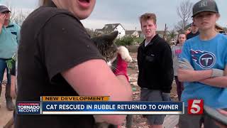 Missing cat rescued in rubble after tornado returned to owner [upl. by Noinatrad999]