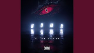 Numb to the Feeling [upl. by Alliber]