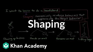 Operant conditioning Shaping  Behavior  MCAT  Khan Academy [upl. by Einnel601]