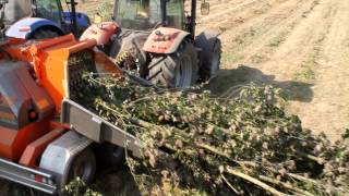 GANDINImeccanicachippershredder woodmachine à bois déchiquetéMaschinen geschreddert Holz [upl. by Hightower]