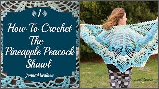 How to Crochet the Pineapple Peacock Shawl PART 1 [upl. by Gnek]