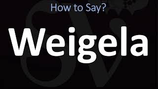 How to Pronounce Weigela CORRECTLY [upl. by Emmalynn639]