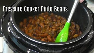 Pressure Cooker Pinto Beans  No Soak Quick Cook Beans  Cosori 2 Quart Electric Pressure Cooker [upl. by Kristy]