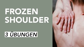 Übungen für Schulterschmerzen bei Frozen Shoulder  Liebscher amp Bracht [upl. by Norel]