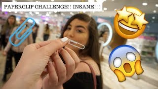 PAPERCLIP CHALLENGE INSANE RESULTS [upl. by Ennovoj]