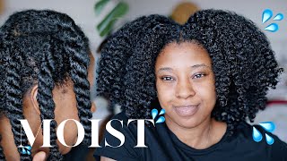 Moisturise DRY Natural Hair In 4 Easy Steps 🔢 Detailed wProduct Recommendations [upl. by Naxela566]