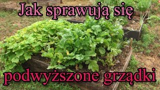 Jak sprawują się podwyższone grządki [upl. by Ydnagrub520]