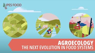 Agroecology  the next evolution in food systems [upl. by Norted359]